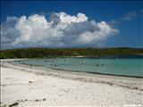 Media Luna Beach - VIEQUES